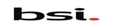 British Standards Institution